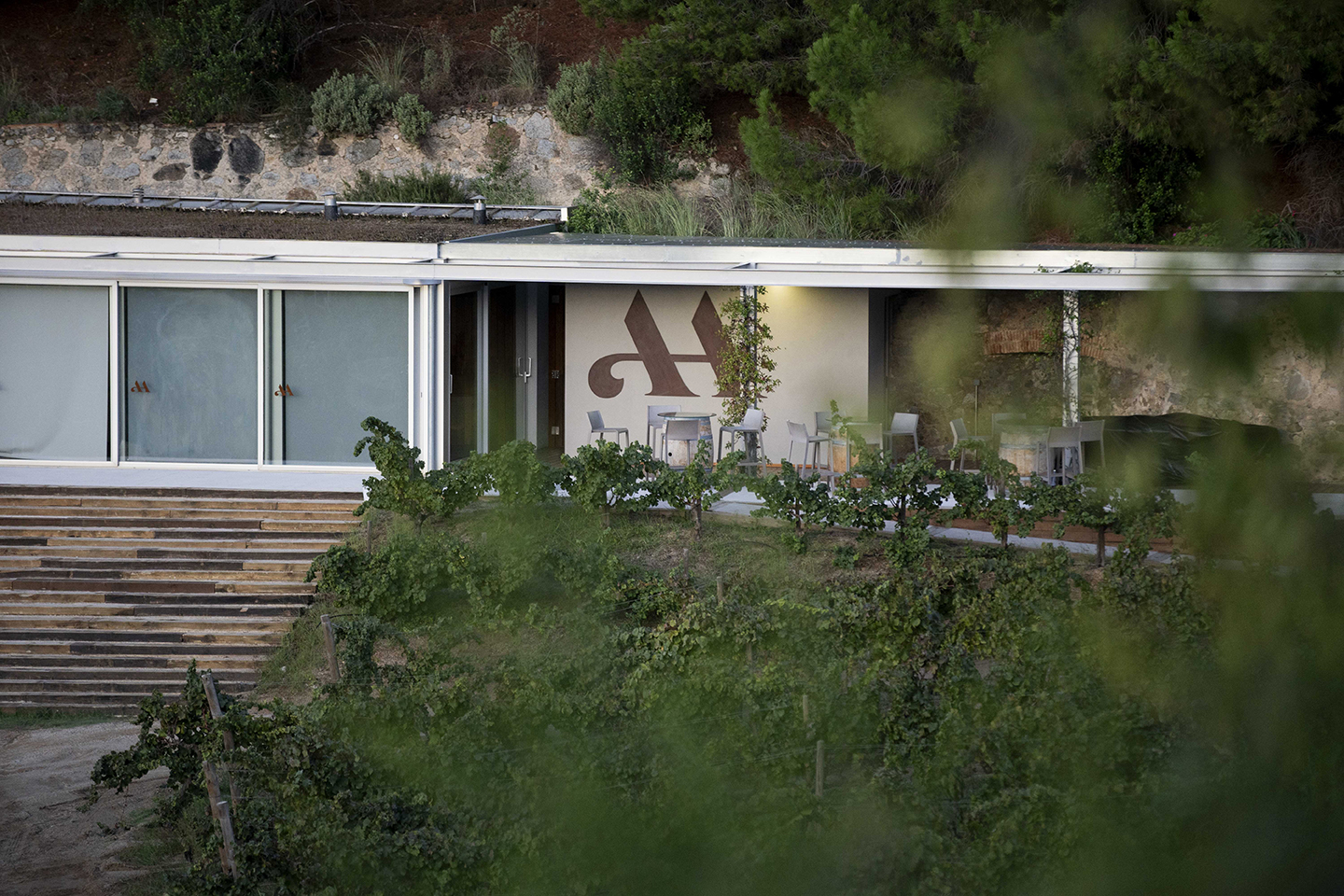 Winery visit and tasting in Barcelona - Alella. Visita y cata de vinos en Alella, Barcelona. Visita i tast de vins a Alella, Barcelona.